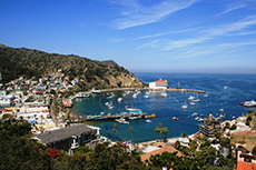 Catalina Island (California) Avalon cruise excursion